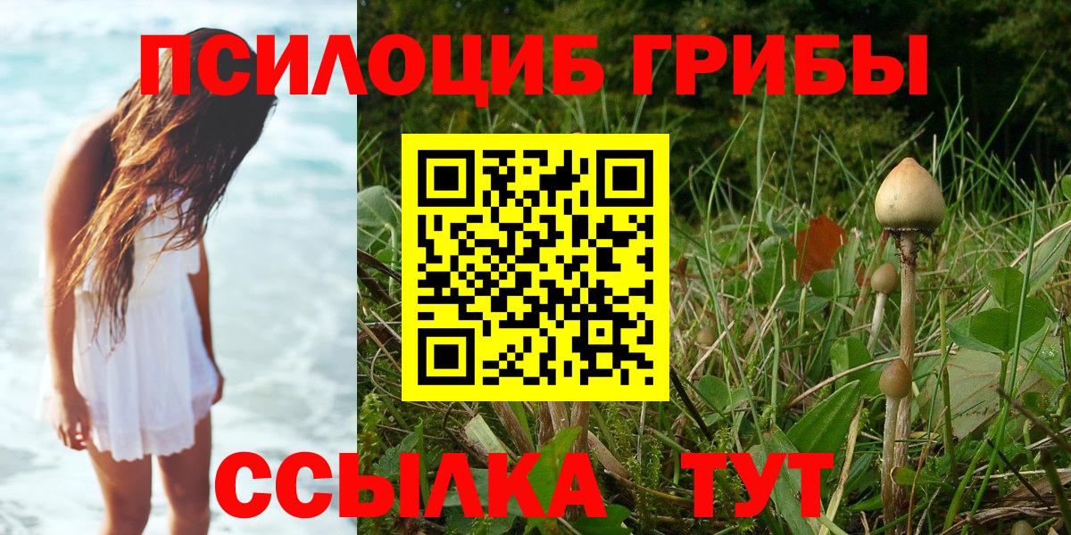 Тверь  Псилоцибиновые грибы MAGIC MUSHROOMS  Псилоцибиновые грибы Magic Shrooms  Вход с VPN 