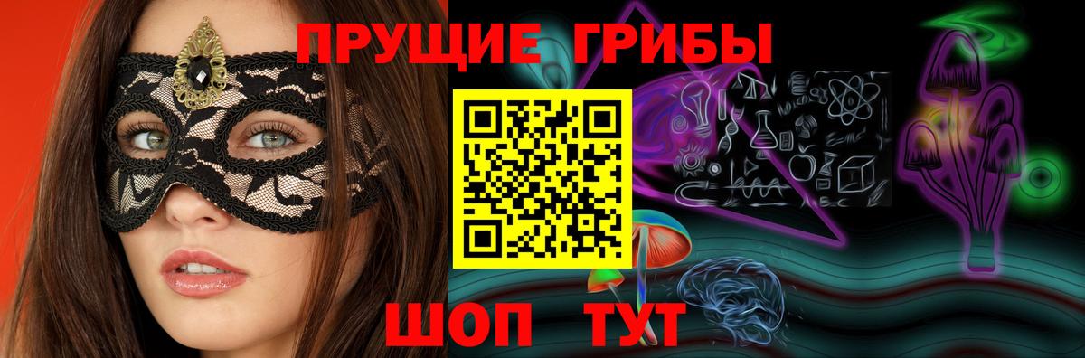 Псилоцибиновые грибы GOLDEN TEACHER Тверь